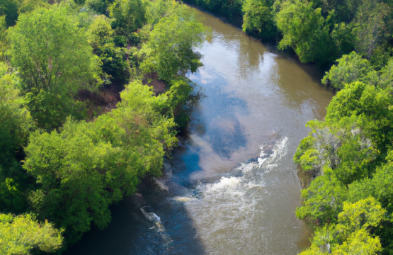 Top Summer Events Near Your Elk River Airbnb in Athens, Alabama