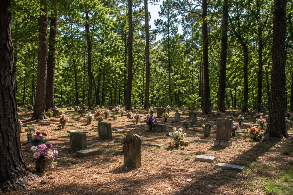 Coon Dog Cemetery - VLB Properties LLC - VLB Properties LLC Graveyard in a sunny forest with numerous small headstones and flower arrangements at the graves.
